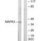 MAPK Activated Protein Kinase 3 antibody, A04510, Boster Biological Technology, Western Blot image 