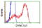 Cytoplasmic dynein 1 light intermediate chain 1 antibody, TA501511, Origene, Flow Cytometry image 