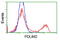 PDZ and LIM domain protein 2 antibody, LS-C172872, Lifespan Biosciences, Flow Cytometry image 