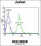 Branched Chain Keto Acid Dehydrogenase E1 Subunit Alpha antibody, 62-489, ProSci, Flow Cytometry image 