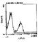 Rano class II histocompatibility antigen, B alpha chain antibody, MA5-17416, Invitrogen Antibodies, Flow Cytometry image 