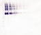 Klotho antibody, AP32851PU-N, Origene, Western Blot image 
