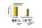 Fibroblast Growth Factor Receptor 2 antibody, 7954C, Cell Signaling Technology, Enzyme Linked Immunosorbent Assay image 