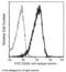 Membrane attack complex inhibition factor antibody, 80299-R001-F, Sino Biological, Flow Cytometry image 