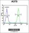 Homeobox A9 antibody, 63-789, ProSci, Flow Cytometry image 