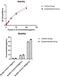 IL-6 antibody, 11-095, ProSci, Enzyme Linked Immunosorbent Assay image 