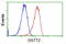 Glutathione S-Transferase Theta 2B (Gene/Pseudogene) antibody, GTX84400, GeneTex, Flow Cytometry image 