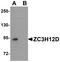 Zinc Finger CCCH-Type Containing 12D antibody, LS-C108693, Lifespan Biosciences, Western Blot image 