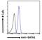 GATA Binding Protein 1 antibody, 45-657, ProSci, Immunofluorescence image 