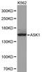 Mitogen-Activated Protein Kinase Kinase Kinase 5 antibody, LS-C192629, Lifespan Biosciences, Western Blot image 