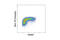 WEE1 G2 Checkpoint Kinase antibody, 64728S, Cell Signaling Technology, Flow Cytometry image 