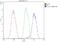 Protein scribble homolog antibody, A01651-Dyl488, Boster Biological Technology, Flow Cytometry image 
