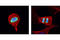Histone H3 antibody, 3377T, Cell Signaling Technology, Immunocytochemistry image 