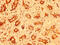 Myeloid zinc finger 1 antibody, CSB-PA015389LA01HU, Cusabio, Immunohistochemistry paraffin image 