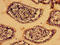 Lipoic Acid Synthetase antibody, CSB-PA012927LA01HU, Cusabio, Immunohistochemistry paraffin image 
