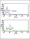 Corticotropin Releasing Hormone Receptor 2 antibody, LS-C167040, Lifespan Biosciences, Flow Cytometry image 