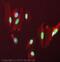 Nuclear Factor, Erythroid 2 Like 2 antibody, ab76026, Abcam, Immunofluorescence image 