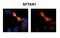 Spectrin alpha chain, non-erythrocytic 1 antibody, PA5-44905, Invitrogen Antibodies, Immunohistochemistry frozen image 