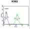 Cyclic Nucleotide Gated Channel Alpha 2 antibody, LS-C168874, Lifespan Biosciences, Flow Cytometry image 