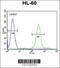 Cytospin-B antibody, 56-244, ProSci, Flow Cytometry image 
