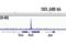 Nanog Homeobox antibody, 8785S, Cell Signaling Technology, Chromatin Immunoprecipitation image 