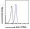 Insulin Like Growth Factor Binding Protein 7 antibody, 45-765, ProSci, Immunohistochemistry paraffin image 