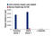 E2F Transcription Factor 4 antibody, 40291S, Cell Signaling Technology, Chromatin Immunoprecipitation image 