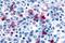 Histamine H4 receptor antibody, GTX71421, GeneTex, Immunohistochemistry paraffin image 