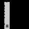 Histone H3.3 antibody, 100815-T32, Sino Biological, Western Blot image 