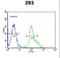 Neurexophilin 1 antibody, LS-C163087, Lifespan Biosciences, Flow Cytometry image 