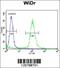 Serine And Arginine Rich Splicing Factor 1 antibody, 62-506, ProSci, Immunofluorescence image 