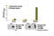 EGFR antibody, 7702S, Cell Signaling Technology, Enzyme Linked Immunosorbent Assay image 