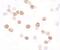 Kremen protein 2 antibody, PA5-34525, Invitrogen Antibodies, Immunocytochemistry image 