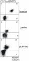 CD20 antibody, GTX28237, GeneTex, Flow Cytometry image 