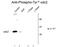 Cyclin Dependent Kinase 1 antibody, GTX82728, GeneTex, Western Blot image 