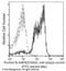 SLAMF6 antibody, 11945-R002, Sino Biological, Flow Cytometry image 