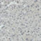 Probable histone-lysine N-methyltransferase NSD2 antibody, AMAb90848, Atlas Antibodies, Immunohistochemistry paraffin image 
