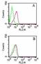 Rho GDP Dissociation Inhibitor Beta antibody, MA1-41181, Invitrogen Antibodies, Flow Cytometry image 