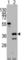 Zinc finger protein ZIC 4 antibody, abx031659, Abbexa, Western Blot image 
