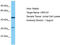 Olfactory Receptor Family 51 Subfamily S Member 1 antibody, TA332306, Origene, Western Blot image 