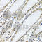 TIA1 Cytotoxic Granule Associated RNA Binding Protein antibody, A6237, ABclonal Technology, Immunohistochemistry paraffin image 