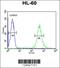 Homeobox protein Hox-A3 antibody, 64-170, ProSci, Flow Cytometry image 