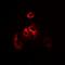 Ribosomal Protein S7 antibody, orb382019, Biorbyt, Immunofluorescence image 