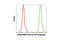 Erk1 antibody, 8867S, Cell Signaling Technology, Flow Cytometry image 