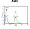 Abhydrolase Domain Containing 12 antibody, abx034149, Abbexa, Flow Cytometry image 