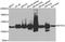Ghrelin And Obestatin Prepropeptide antibody, orb315552, Biorbyt, Western Blot image 