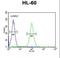 P-LAP antibody, LS-C165817, Lifespan Biosciences, Flow Cytometry image 