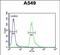 Abhydrolase Domain Containing 12 antibody, PA5-72593, Invitrogen Antibodies, Flow Cytometry image 