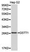 Glutathione S-Transferase Theta 1 antibody, LS-C192787, Lifespan Biosciences, Western Blot image 