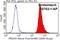 Peroxiredoxin 4 antibody, 10703-1-AP, Proteintech Group, Flow Cytometry image 